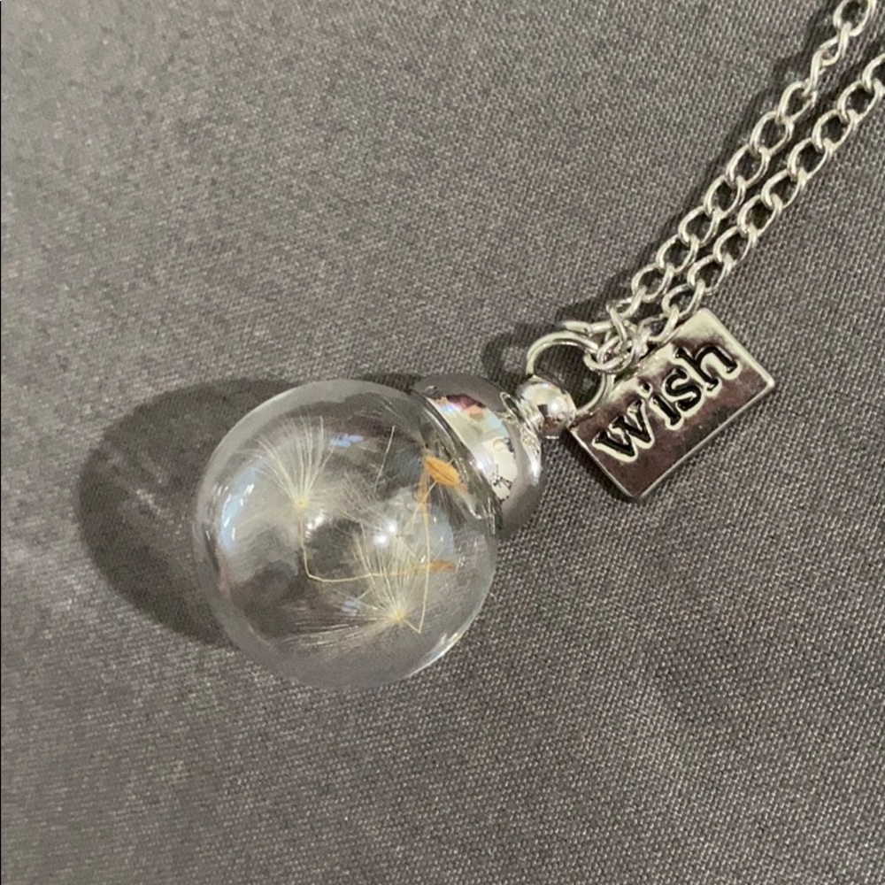 Never used. Dandelion wish necklace